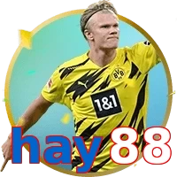 hay88
