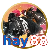 hay88