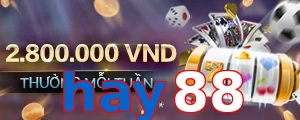 hay88