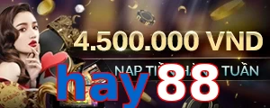 hay88
