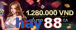 hay88