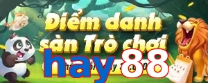 hay88