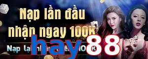 hay88