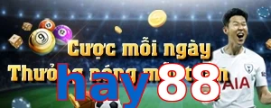 hay88